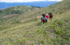 Canada-Yukon-Yukon Wildlife Safari on Horseback